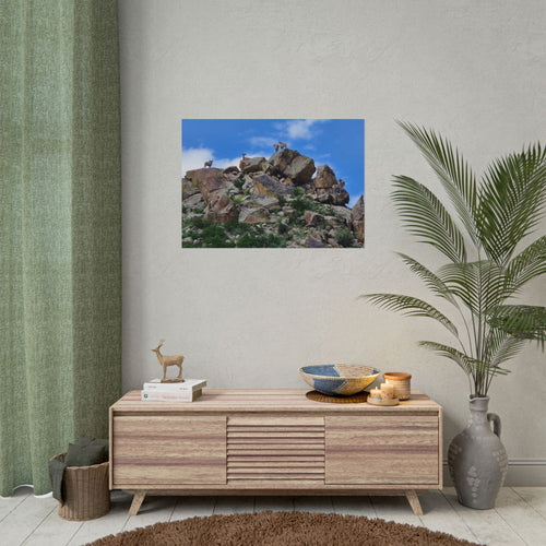 Bighorn Sheep vibrant Nature Rolled Posters, Vintage Wall Art, Home Decor, Gift for Nature Lovers, Outdoor Wall Art, Boho Decor