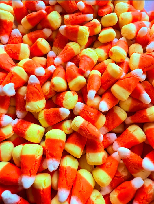 Freeze Dried Space Corn (Limited Time)